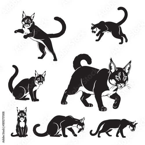 Black Andean mountain cat Silhouette Vector Illustration design, Solid White Background