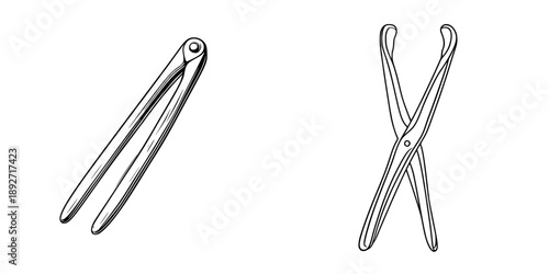 Tactile Elegance: A Clean and Simple Line Art