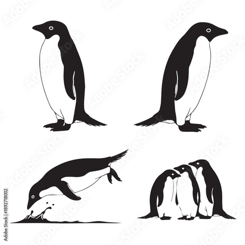 Black Adelie penguin Silhouette Vector Illustration design, Solid White Background