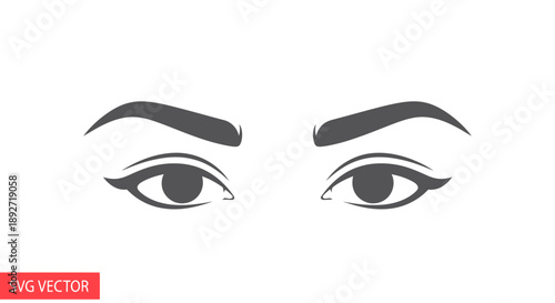 Stylized Woman's Eyes with Eyeliner and Eyebrows Icon