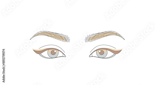 Woman's Eyes with Eyeliner and Eyebrows Drawing