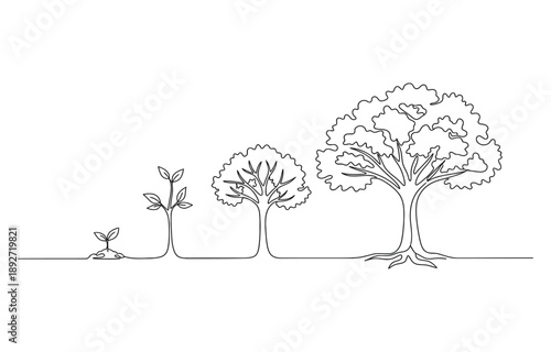 Continuous one line drawing showing tree growth.