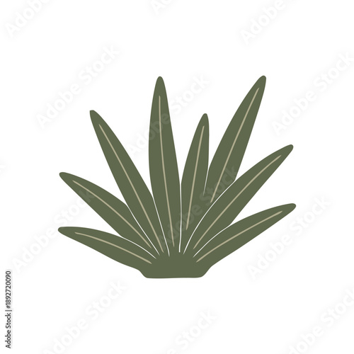 Tablou pe pânză Minimalist Green Plant Foliage Illustration with Central Veins