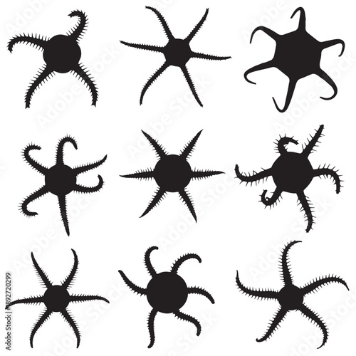 Black Brittle star Silhouette Vector Illustration design, Solid White Background