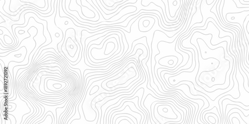 Black and white lines seamless Topographic map patterns, topography line map. Vintage outdoors style. The stylized height of the topographic map contour in lines and contours isolated on transparent.