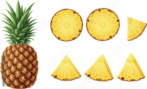 Fresh pineapple fruit set with whole pineapple and slices
