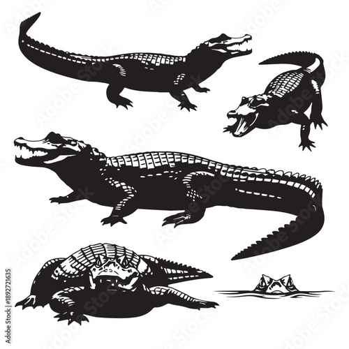 Black Black caiman Silhouette Vector Illustration design, Solid White Background