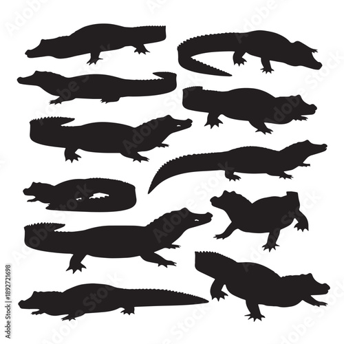 Black Black caiman Silhouette Vector Illustration design, Solid White Background