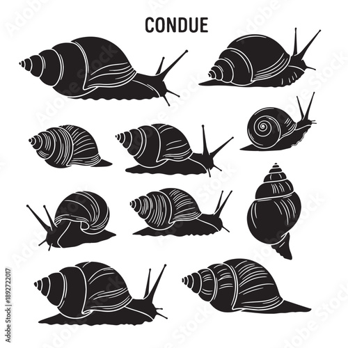 Black Cone snail  Silhouette Vector Illustration design, Solid White Background