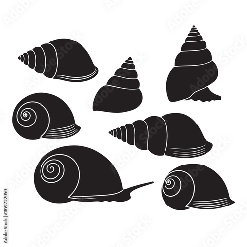 Black Cone snail  Silhouette Vector Illustration design, Solid White Background