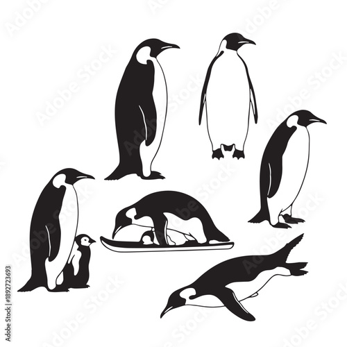 Black Emperor penguin Silhouette Vector Illustration design, Solid White Background