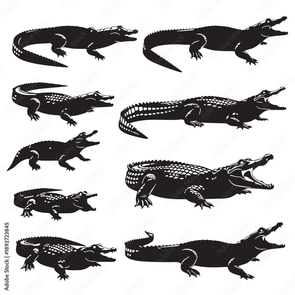 Fototapeta premium Black Dwarf crocodile Silhouette Vector Illustration design, Solid White Background