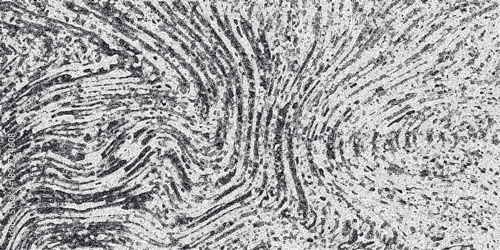 Abstract grayscale organic texture resembling fingerprints or wood grain with swirling lines and granular speckles creating a detailed natural pattern for backgrounds