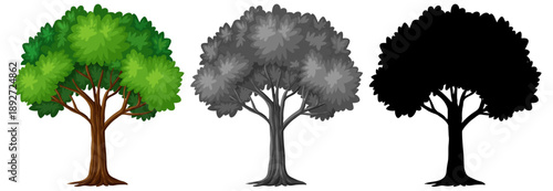 Set of vector tree illustrations in nature