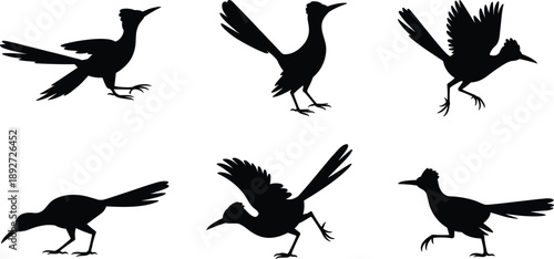 Black silhouette vector set featuring wild roadrunner birds in various poses including running jumping and standing for nature wildlife conservation and desert animal design
