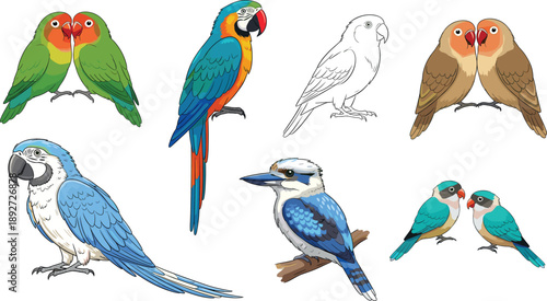 Bird cartoon vector set. Colorful parrots, lovebirds and kingfisher illustrations. Cute bird couples and outline drawings isolated on white background.