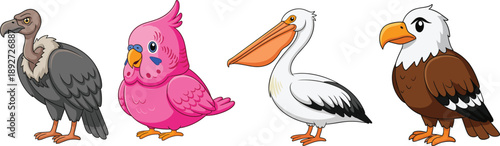 Bird cartoon vector set. Cute pelican, eagle, vulture and colorful bird characters. Funny animal illustrations isolated on white background.
