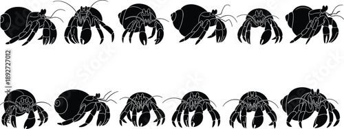 Hermit crab silhouette set, marine crustaceans, sea animal icons, shell creatures collection, ocean biology illustration, black design, flat vector