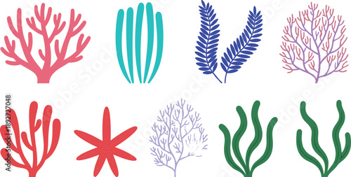 Coral seaweed and starfish illustration set. Minimal flat underwater marine elements in bright colors. Ocean plant and sea life vectors for backgrounds, posters, and coastal design.