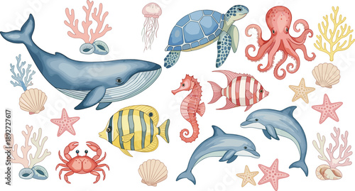 Ocean animals cartoon vector set. Cute whale, turtle, dolphin, octopus and fish. Colorful sea life illustrations isolated on white background.