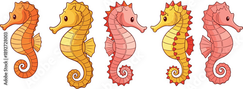 Seahorse cartoon illustration set. Cute sea horses in orange yellow and pink colors. Flat marine seahorse vectors for kids design, stickers, posters, and ocean themes.