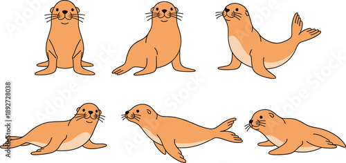 Seal cartoon vector set. Cute sea lion animals in different poses. Adorable marine mammal illustrations isolated on white background.