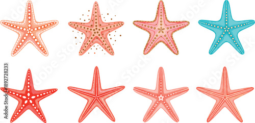 Starfish cartoon illustration set. Colorful sea stars with different patterns and textures. Flat marine starfish vectors for kids design, stickers, posters, and ocean themes.