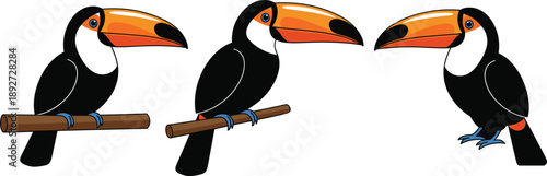 Toucan cartoon vector set. Cute tropical toucans sitting on branches. Colorful exotic bird illustrations isolated on white background.