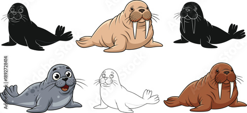 Walrus and seal cartoon vector set. Cute marine animals in color, silhouette and outline styles. Fun arctic animal illustrations isolated on white background.