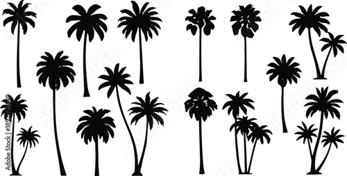 Set of diverse palm tree silhouettes showing variations in trunk shape and leaf arrangement for tropical, botanical, and design-themed concepts