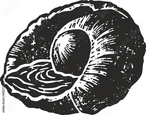 Open oyster shell with pearl inside, detailed hand drawn marine mollusk illustration