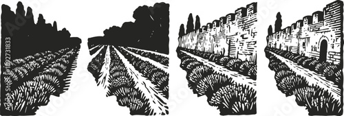 rural landscape with vineyard rows and old stone fortress wall in black and white vintage woodcut
