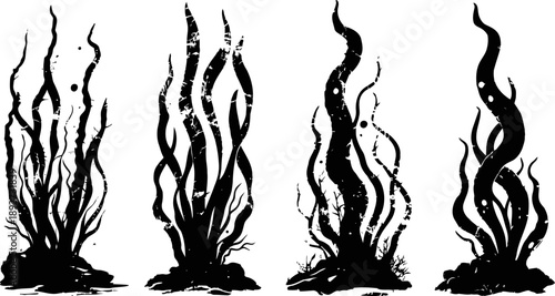 Black seaweed silhouettes set underwater kelp plants with flowing leaves and bubbles on white background