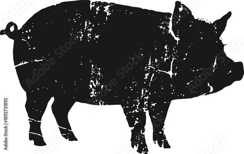 Black pig silhouette with distressed texture isolated on white background