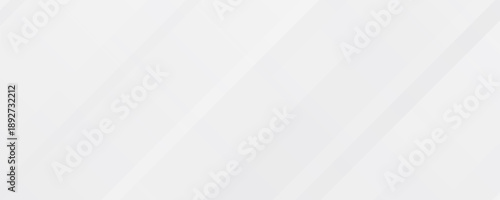 White abstract background. Silver effect texture. Light gray colour textur. Grey platinum pattern. Modern backdrop. Gradient delicate surface print. Design bg for business prints. Vector illustration