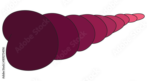 Funny little auger seashell on a white background