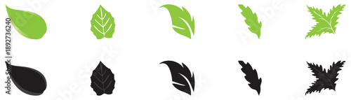 Nature Leaf Icon Collection Set.