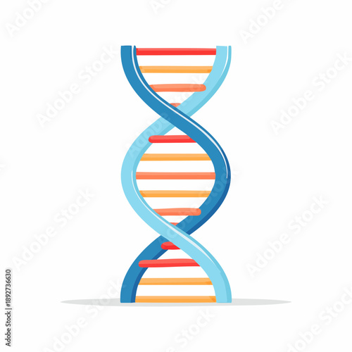 DNA double helix structure