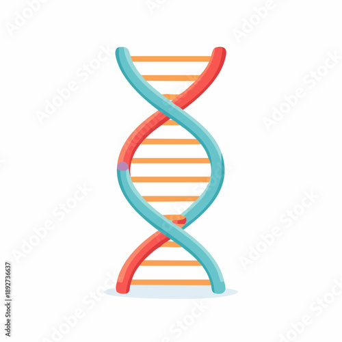 DNA Structure Twist