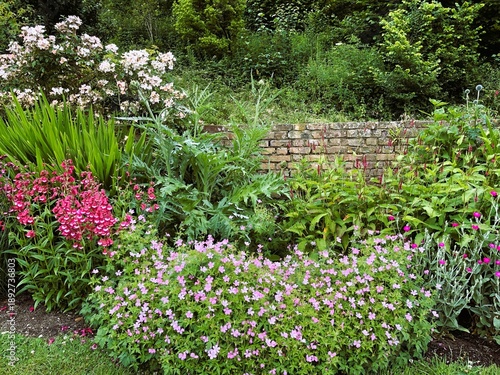Traditional perennial border, mixed garden plants in English landscape design