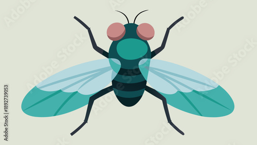 Detailed close up illustration of a turquoise colored common housefly insect specimen