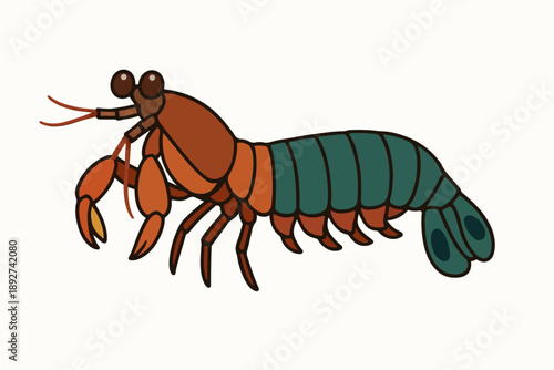flat illustration of a mantis shrimp