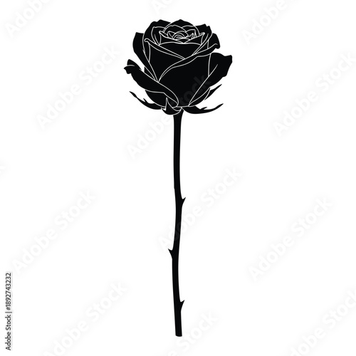 Overhead shot of a person's hands typing on a vintage typewriter, evoking nostalgia and creativity