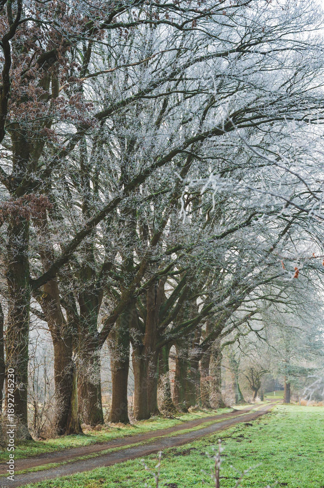 Obraz premium Celle, 29.01.2026