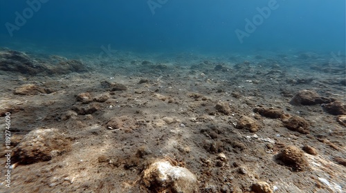 An underwater view of a sandy and rocky seabed stretching into the blue ocean depths