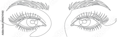 Detailed eyes feature long lashes and sharp.