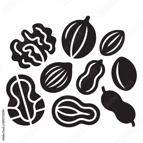 Nuts vector