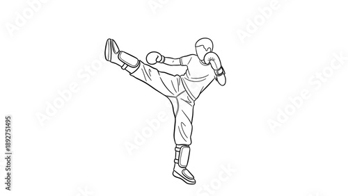 Martial artist in high kick pose illustrating dynamic movement