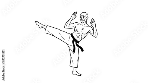 Karate master performing high kick in dynamic pose