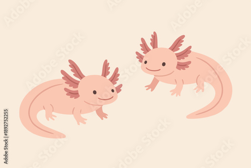 flat illustration of a cute axoloth